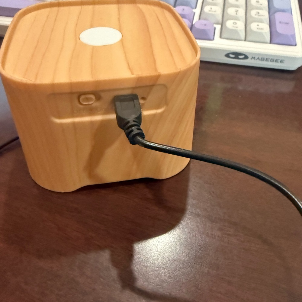 Wood Grain Brookstone Salt Rock Speaker